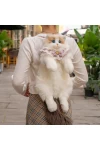 Ragdoll Cat Doll Backpack